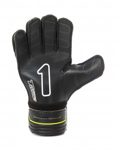 rinat kancerbero invictus turf